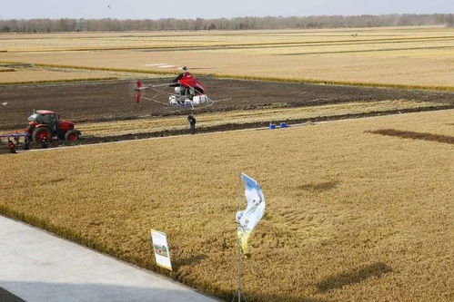 碧桂園進軍無人化農場 農業(yè)技術研究的新篇章