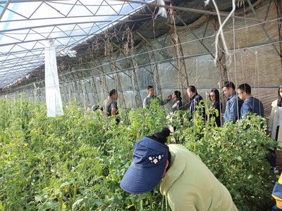 我校開展市校推進(jìn)鄉(xiāng)村振興農(nóng)業(yè)農(nóng)村領(lǐng)域項(xiàng)目中期檢查工作