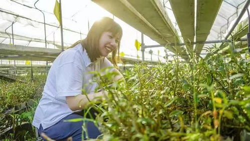 她讓農業變酷了 女海歸的“無土種菜”技術與農業未來