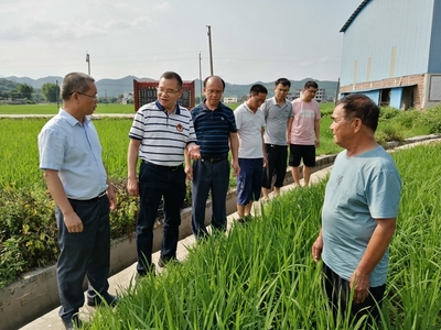 我區啟動全國五星鄉鎮農技推廣機構復核工作，深化農業技術研究與應用