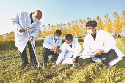 科技賦能，綠色希望——‘開元上院杯’臨沂日報新聞攝影大賽農業技術研究專題作品集錦