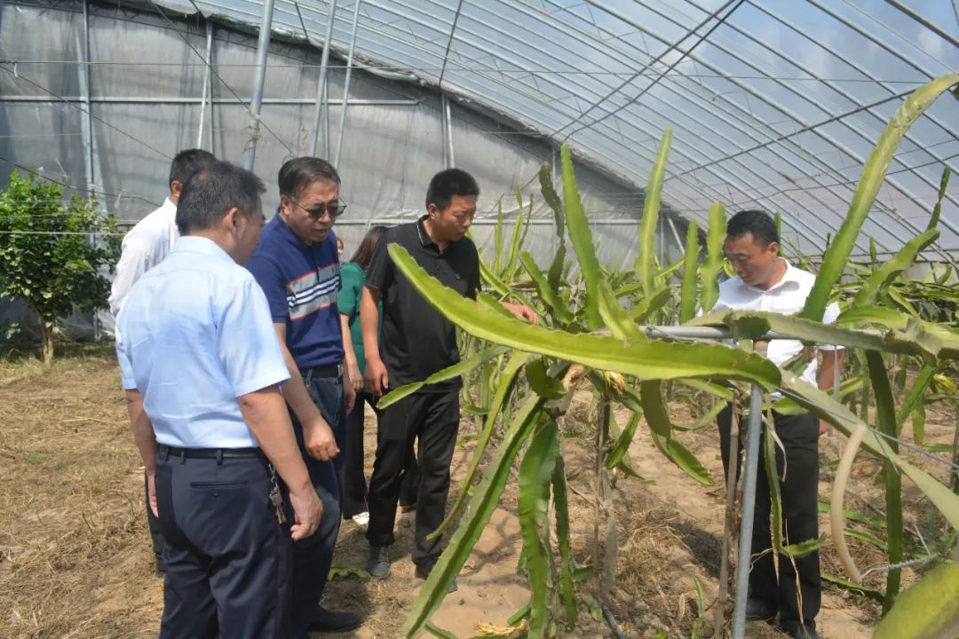 科技賦能巾幗力，助農興農譜新篇——山東濱州市巾幗科技助農興農直通車走進陽信